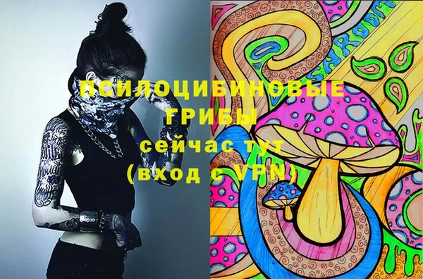 сатива Балабаново