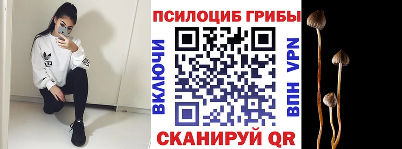 цены наркотик  Мантурово  Псилоцибиновые грибы MAGIC MUSHROOMS 